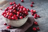 Cranberry Extract
